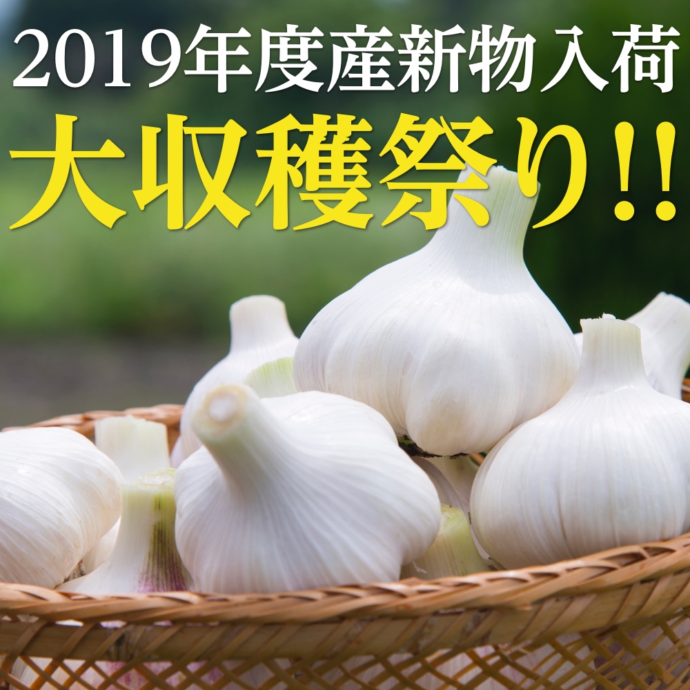 2019年度産新物にんにく入荷!大収穫祭り